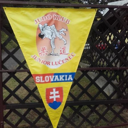 Turisticka Ubytovna Hotel Divín المظهر الخارجي الصورة