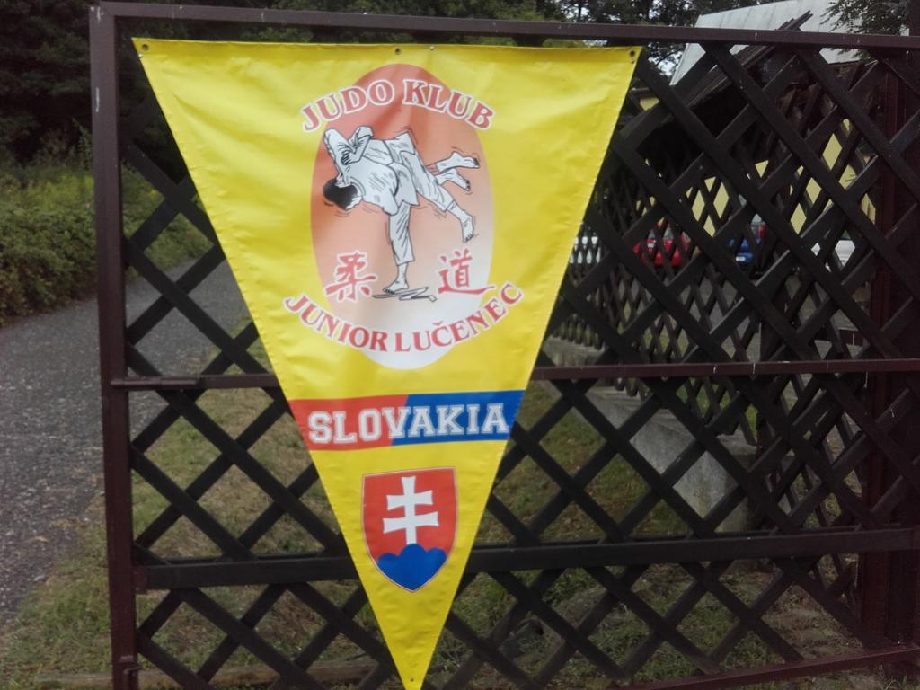Turisticka Ubytovna Hotel Divín المظهر الخارجي الصورة
