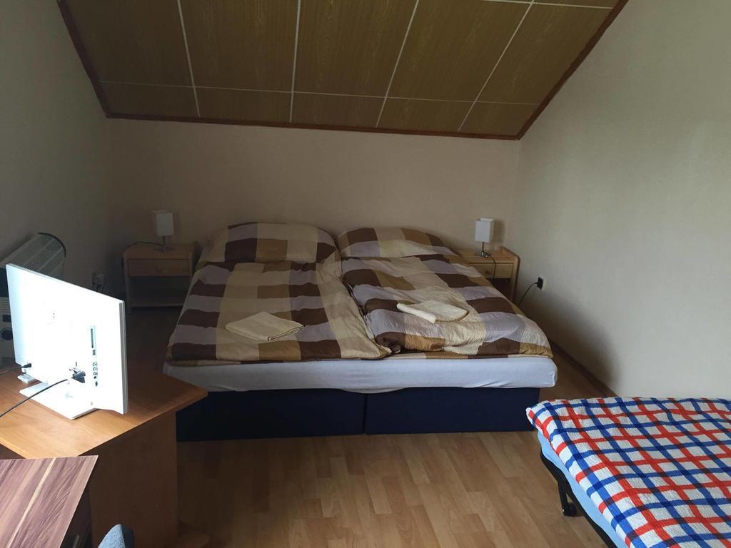 Turisticka Ubytovna Hotel Divín المظهر الخارجي الصورة
